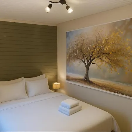 Bright For 6 People In