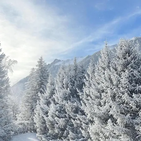 Bright For 6 People In Apartman *